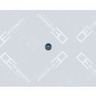 OE Germany Dichtring, Ventilschaft 02 3006 200000