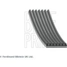 Blue Print Keilrippenriemen AD07R1675