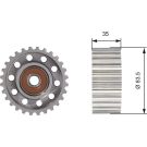 Gates Umlenk-/Führungsrolle, Zahnriemen PowerGrip™ T42100
