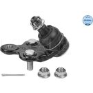 Meyle Trag-/Führungsgelenk MEYLE-ORIGINAL: True to OE 30-16 010 0044