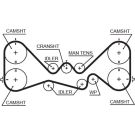 Gates Zahnriemen PowerGrip™ 5384XS