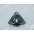 OE Germany Wasserpumpe, Motorkühlung 09 2000 C60000