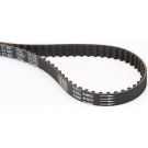 ContiTech Zahnriemen CT607