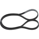 BOSCH Keilrippenriemen 1 987 947 925