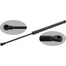 FEBI BILSTEIN 31649 Gasfeder, Koffer-/Laderaum FEBI BILSTEIN 31649 Gasfeder, Koffer-/Laderaum