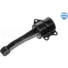 Meyle Lagerung, Motor MEYLE-ORIGINAL: True to OE 100 199 0065