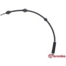 Bremsschlauch T 06 040