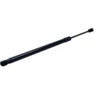 Gasfeder, Koffer-/Laderaum 12-2355
