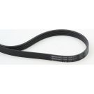 ContiTech Keilrippenriemen 6PK1244