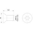 Hella Pagid Schraube, Bremsscheibe 8DZ 355 209-111