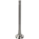 FEBI BILSTEIN 181075 Auslassventil FEBI BILSTEIN 181075 Auslassventil
