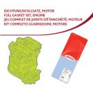 Dichtungsvollsatz, Motor 438602P Dichtungsvollsatz, Motor 438602P