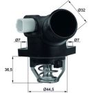 Mahle Thermostat, Kühlmittel BEHR TM 32 103