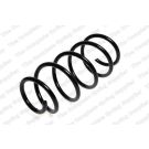 Fahrwerksfeder 4063491 Fahrwerksfeder 4063491