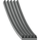 FEBI BILSTEIN 183146 Keilrippenriemen