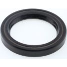 Dichtring 12000706B