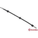 Bremsschlauch T 06 006 Bremsschlauch T 06 006