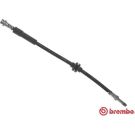 Bremsschlauch T 24 118