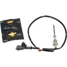 Sensor, Abgastemperatur 707543