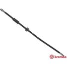 Brembo 2 x BREMBO Bremsschlauch ESSENTIAL LINE T 06 036