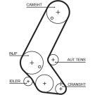 Gates Zahnriemen PowerGrip™ 5595XS