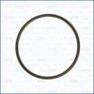 AJUSA 16057900 Ansaugkrümmerdichtung