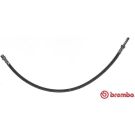 Brembo 2 x BREMBO Bremsschlauch ESSENTIAL LINE T 50 056