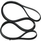 BOSCH Keilrippenriemen 1 987 947 558