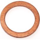 Elring Dichtring 113.000