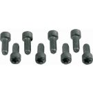 Sachs Schraubensatz, Schwungrad 1874 000 031