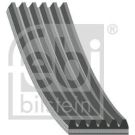 FEBI BILSTEIN 28926 Keilrippenriemen