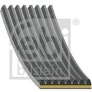 FEBI BILSTEIN 184924 Keilrippenriemen