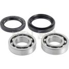 Radlagersatz R181.06 Radlagersatz R181.06