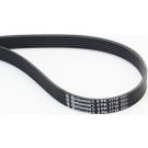 ContiTech Keilrippenriemen 6PK1715
