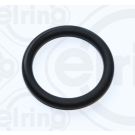 Dichtring 748.870