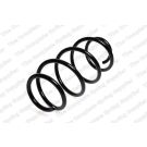 Fahrwerksfeder 4072947 Fahrwerksfeder 4072947