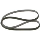 BOSCH Keilrippenriemen 1 987 946 291