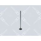 OE Germany Auslassventil 01 0520 470001