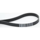 ContiTech Keilrippenriemen 6PK1613