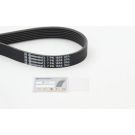 ContiTech Keilrippenriemen 7PK1855