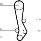 ContiTech Zahnriemen CT876