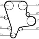 ContiTech Zahnriemen CT1122