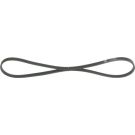 BOSCH Keilrippenriemen 1 987 946 065