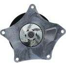 Valeo Wasserpumpe, Motorkühlung 529696