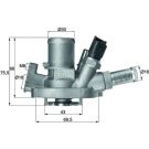 Mahle Thermostat, Kühlmittel BEHR TI 151 80