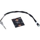 Sensor, Abgastemperatur 707020
