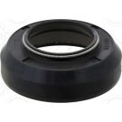 Elring Dichtring 393.880