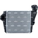 Ladeluftkühler 309026