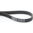 ContiTech Keilrippenriemen 6PK1564