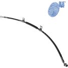 Blue Print Bremsschlauch ADG053239